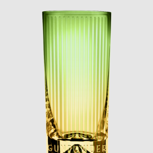 Drumshanbo Gunpowder Brazilian Pineapple Exclusive Yellow & Green Debossed Gin Glass